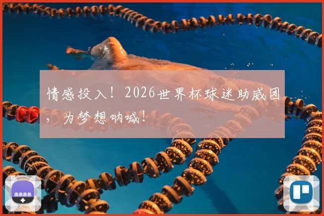 情感投入！2026世界杯球迷助威团，为梦想呐喊！