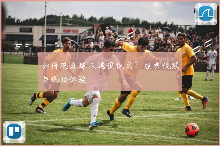 如何观看球衣退役仪式？经典视频与现场体验