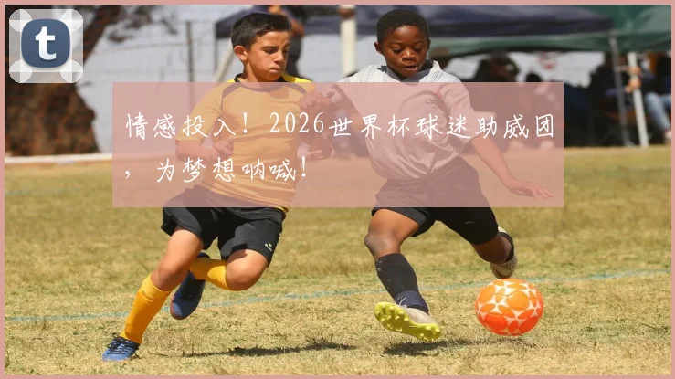 情感投入！2026世界杯球迷助威团，为梦想呐喊！